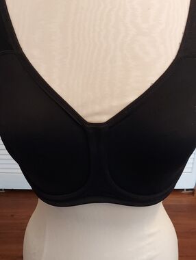 Wacoal Sports Bra